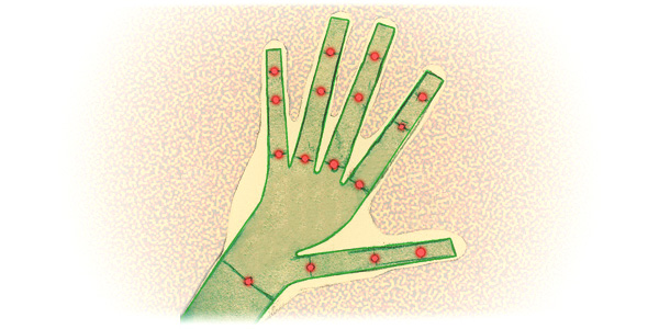 Illustration